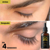 SERUM UP PRO alargamiento de cejas y pestañas